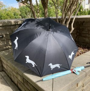 The black umbrella is open and resting on the sidewalk. Next to the black umbrella is the blue umbrella, which is closed up and lying in front.
