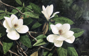 watercolor painting of three white flowers with dark green leaves