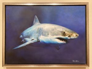 airbrush painting of a shark
